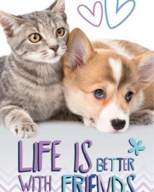 detske uteraky cat a dog